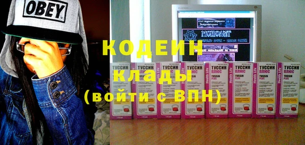 гидра Арсеньев