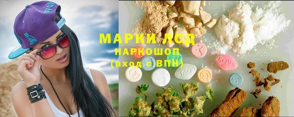 шишки Балабаново